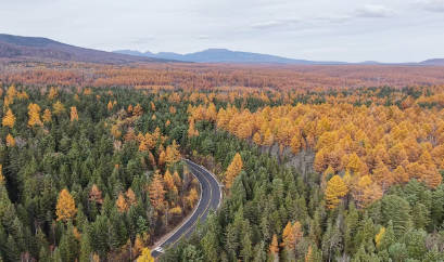 创新综合指标再跃升，白山松水如何抢占发展新“吉”遇？(图4)