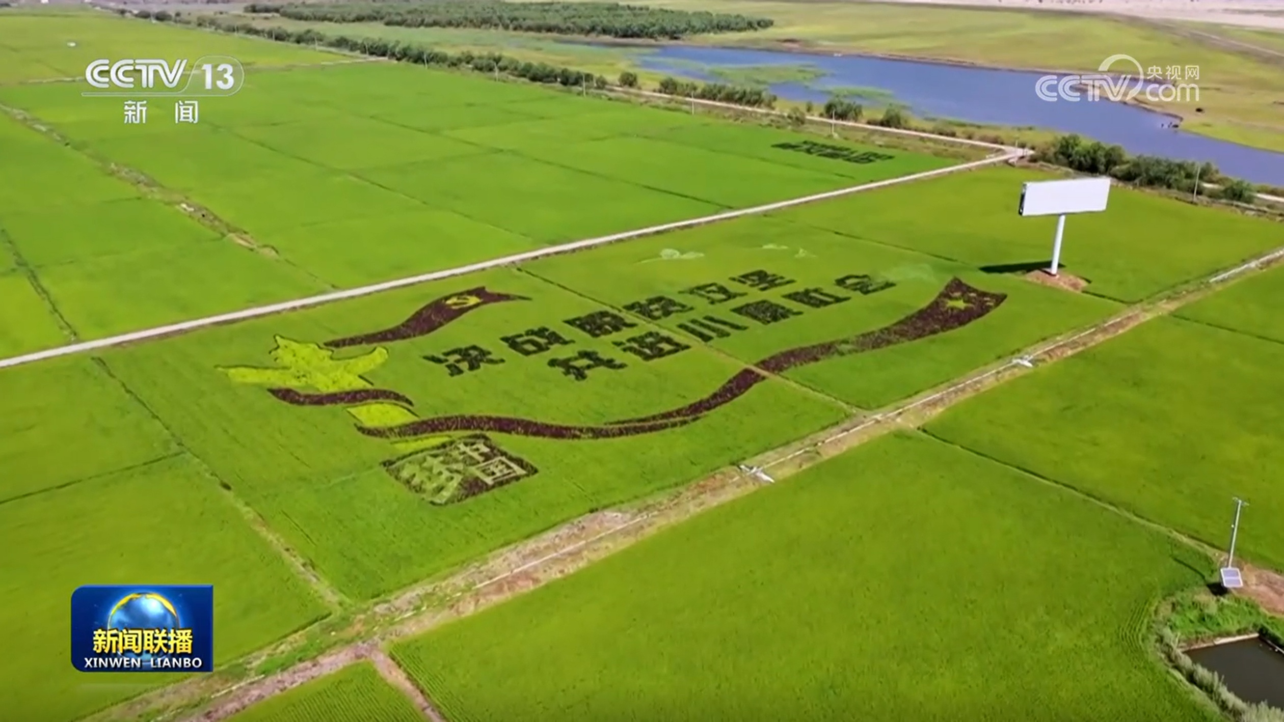 【新思想引领新征程·非凡“十四五”】持续巩固拓展脱贫攻坚成果 扎实推进乡村全面振兴(图3)