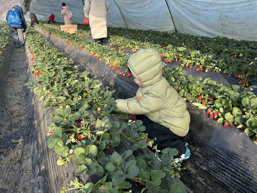 习近平总书记关切事｜经济大省勇挑大梁(图5)