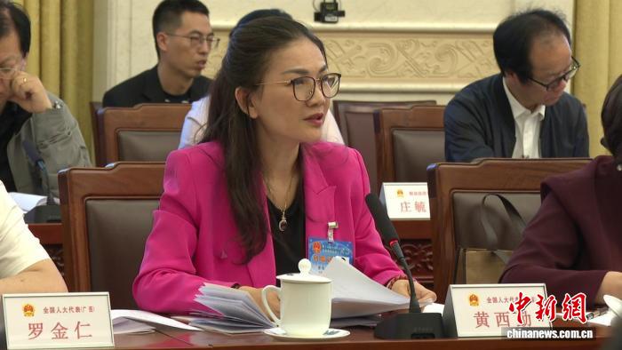（全国两会）黄西勤：以代表履职推动民营经济促进法更好落地实施
