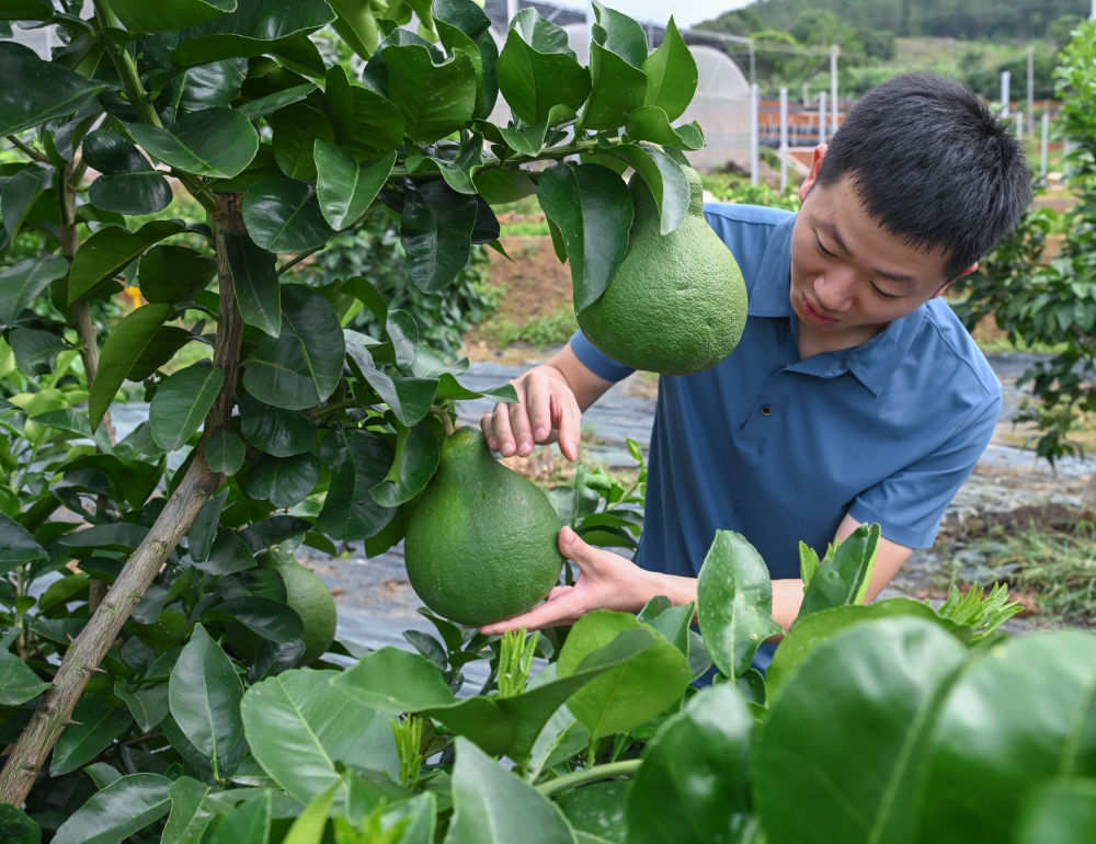 习近平总书记引领中国从脱贫攻坚迈向乡村全面振兴(图5) 习近平总书记引领中国从脱贫攻坚迈向乡村全面振兴(图5)