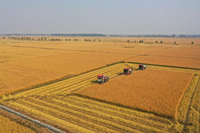 习近平总书记引领中国从脱贫攻坚迈向乡村全面振兴(图13) 习近平总书记引领中国从脱贫攻坚迈向乡村全面振兴(图13)