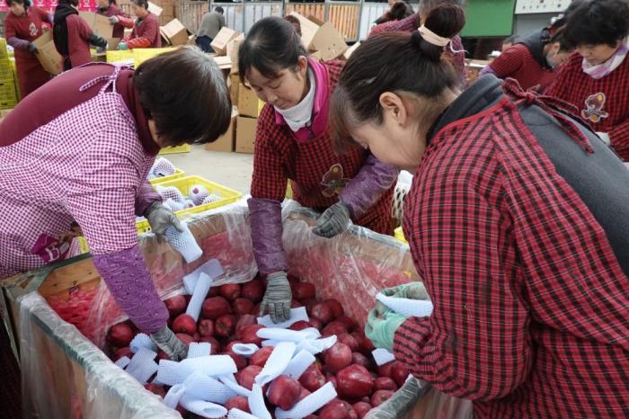 习近平总书记引领中国从脱贫攻坚迈向乡村全面振兴(图10) 习近平总书记引领中国从脱贫攻坚迈向乡村全面振兴(图10)