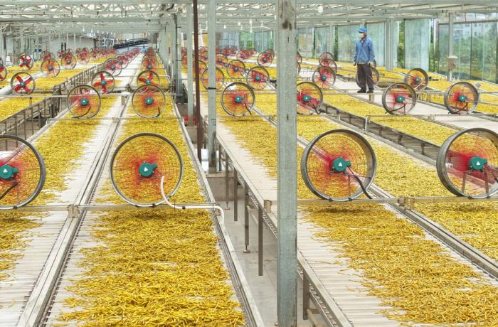 习近平总书记引领中国从脱贫攻坚迈向乡村全面振兴(图7) 习近平总书记引领中国从脱贫攻坚迈向乡村全面振兴(图7)