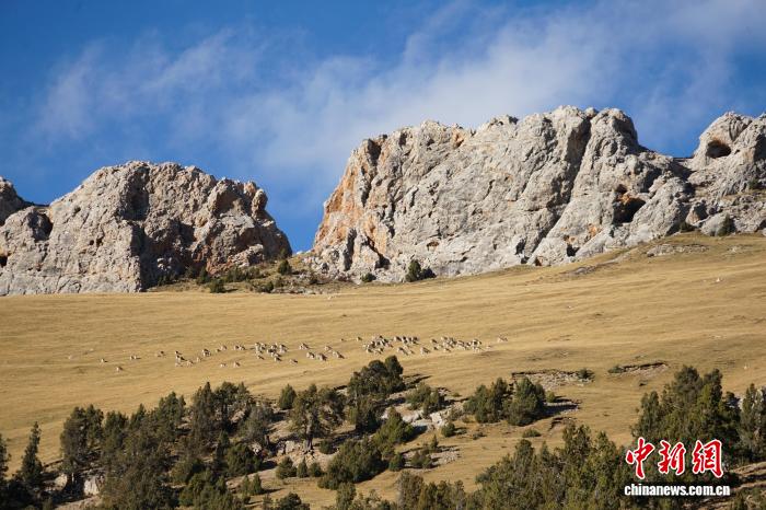 青海省人大：特色精细立法护航高质量发展