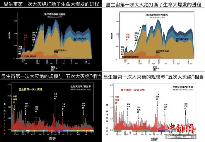 中国发现5.12亿年前花垣生物群 改写地球生物大灭绝事件历史(图2)