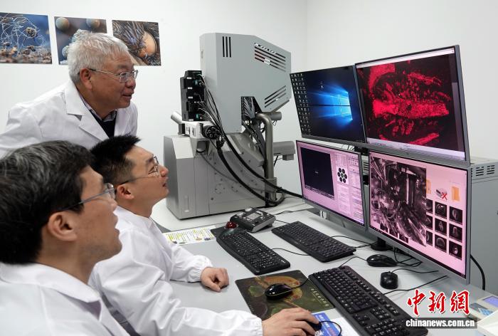 中国发现5.12亿年前花垣生物群 改写地球生物大灭绝事件历史